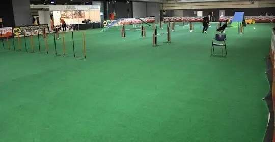 CLUB AGILITY NEO REUS en Reus