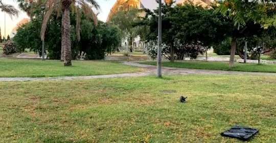 Entrenador Personal - Sergio Dolz en Valencia