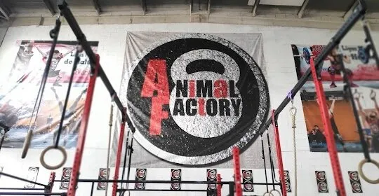 Animal Factory BOX en Madrid