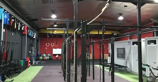 CFS Box Sevilla en Sevilla