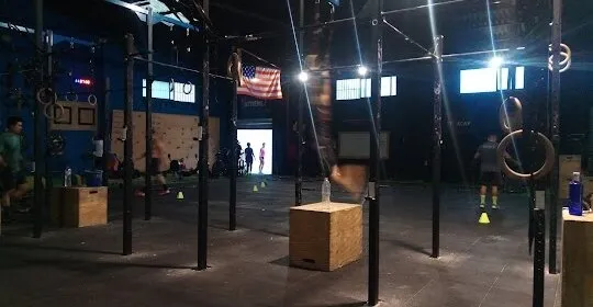 Box Elite en Torrent