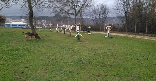 Zona de Gimnasio al Aire Libre Ourense en Ourense