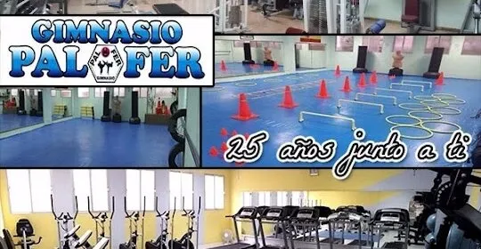 Gimnasio Palfer en La Solana