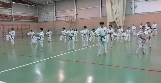 Pabellón Javi García en Mula