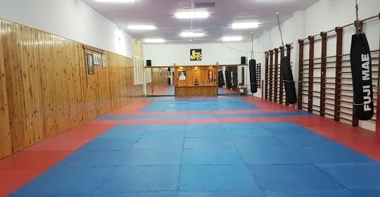 Club Esportiu Satori en Santa Coloma de Gramenet