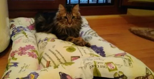 Studio FASHION DANCE en Madrid