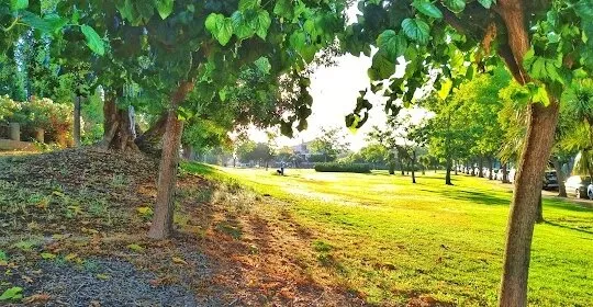 Gmnasio Público en Reus