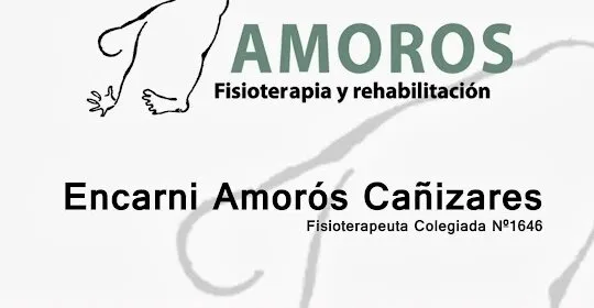 Amorós Fisioterapia y Rehabilitación en Elda