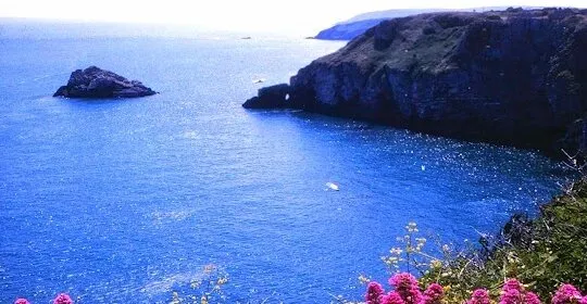 ArrigoYoga - Escuelas de Yoga Sanatana Dharma en Arrigorriaga