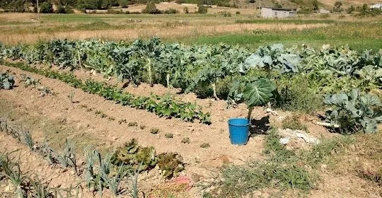 Piscinas Noceda Del Bierzo en Bembibre
