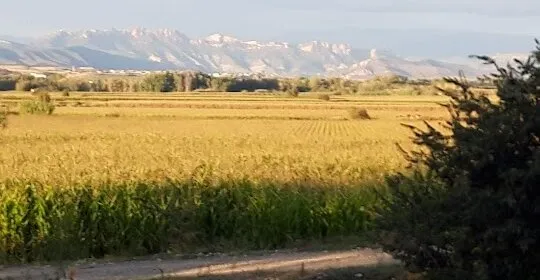 Ferma Termens en Térmens