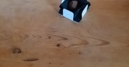 STAFF INFRAESTRUCTURA SL en Campo de Criptana