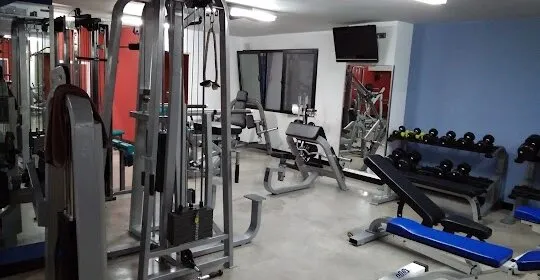Gimnasio musculación en Pedro Muñoz