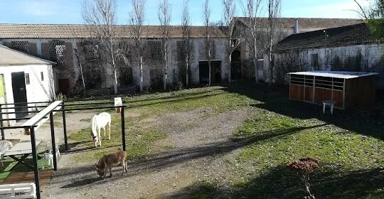 Pabellon de usos multiples en Cijuela