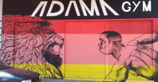 ADAMA GYM en Badajoz
