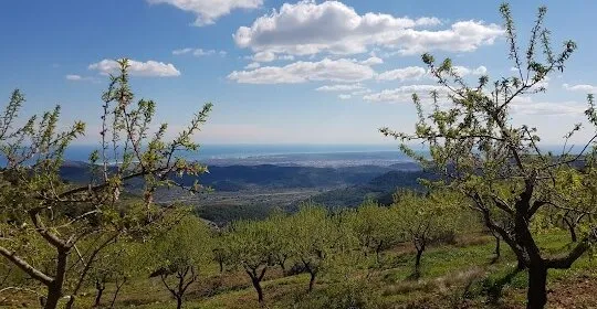 Club Deportivo Peri Esport en Castellón de la Plana