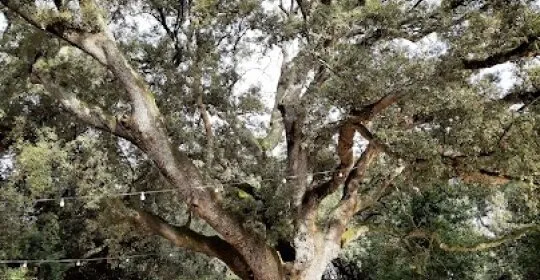 Piscines de Ca l'Arenys en L'Ametlla del Vallès