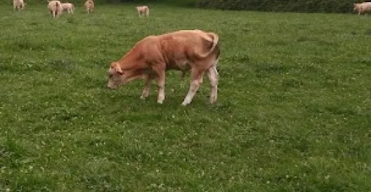 Abraham Olano Kiroldegia en Anoeta