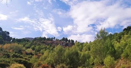 Charca De Las No Ranas en Jaén