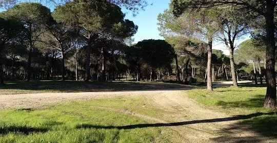 Pinos De Aljaraque en Aljaraque