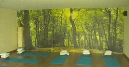 Lasai Bizi escuela de yoga y meditación en Basauri en Basauri