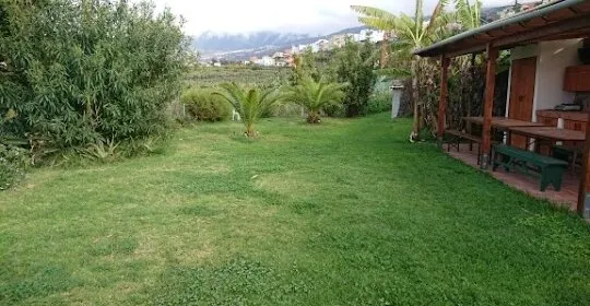 Personal and Group Trainer Tenerife North - Elitsa Ivanova en Los Realejos