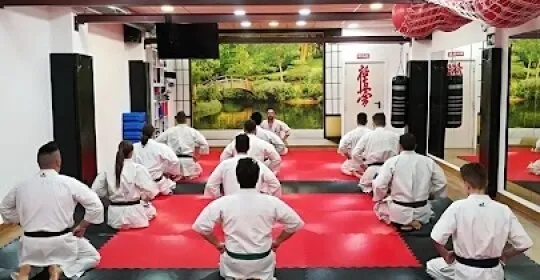 Dojo Gaman en Cerdanyola del Vallès
