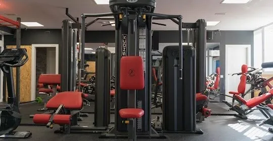 Mesvida en Sant Andreu de la Barca