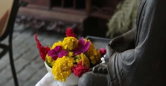 La Casa de Marina - Retiros de meditación en Durango