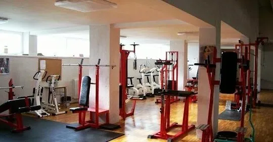 Complejo Deportivo Municipal de Cintruénigo en Cintruénigo