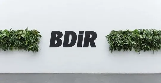 BDiR Mallorca en Barcelona