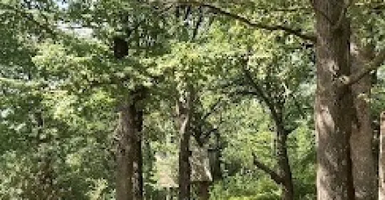 Piscinas Municipales de Verano - Complejo Deportivo Dantzaleku en Beasain