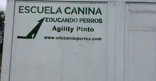 Centro Canino Educando Perros. Club Agility Pinto en Pinto