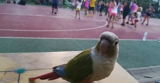 CAMPAMENTO AVENTURA S.L. en Ayamonte