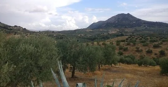 Pistas de Paddle Vereda de las Cruces en Villanueva de San Juan