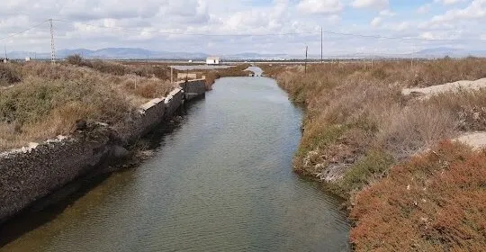 Playa la Gola salinas santa pola en Santa Pola