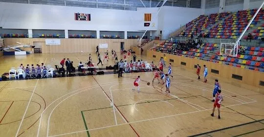 Pavelló municipal d'Esports Castell d'en Planes en Vic