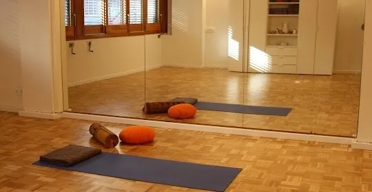 Osonaioga s.c.c.l en Vic