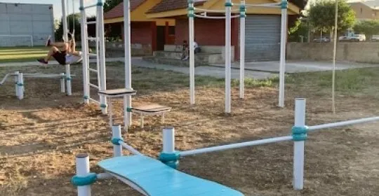 TORRE DE CALISTENIA en Carrizo de la Ribera