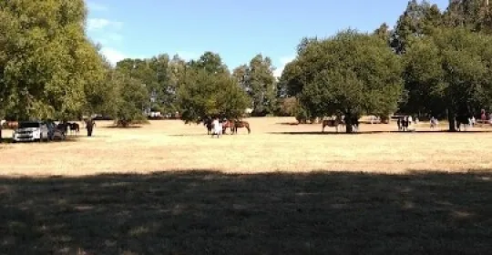 Pavillón Polideportivo de Teixeiro en Betanzos
