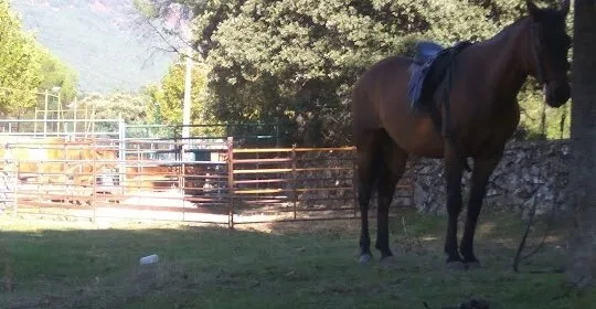 Pistas de Padel Y Tenis De La Adrada en La Adrada