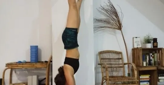 ECTOTENIA en Xàtiva