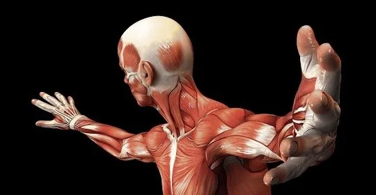 Corpa Project en Puerto de la Cruz