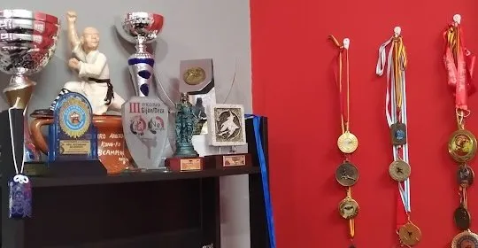 Escuela Nei de Artes Marciales en Gijón