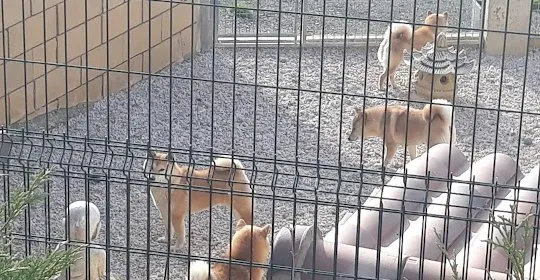 GR-38 en Vitoria / Gasteiz