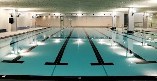 Hegalak en Donostia / San Sebastián