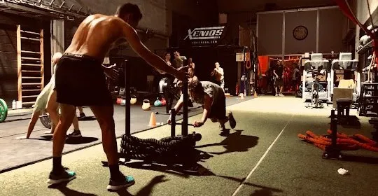 Ludus Mallorca en Palma de Mallorca