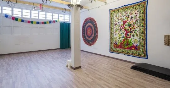 Estudio de AeroYoga Zaragoza - Sala de actividades La Vida en Verde en Zaragoza