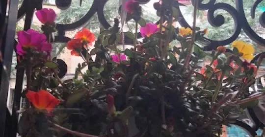 Marta Danza Pilates en Barcelona