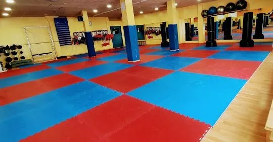 Club De Taekwondo Jan su Figueres en Figueres